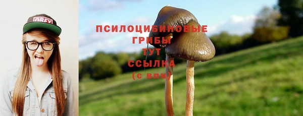 гидра Алзамай