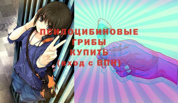 гидра Алзамай