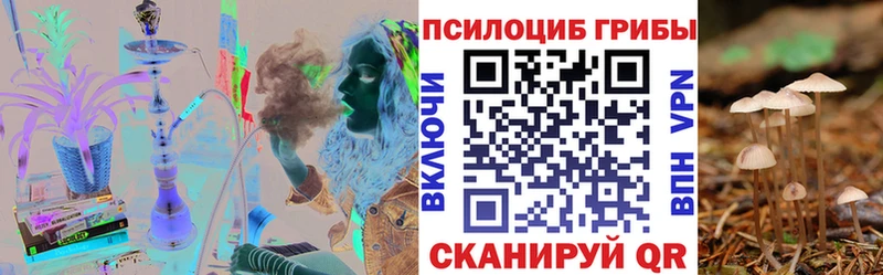 Псилоцибиновые грибы Psilocybe  Борзя 