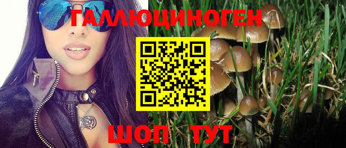 Галлюциногенные грибы мицелий  Галлюциногенные грибы MAGIC MUSHROOMS  Вход с VPN  Борзя 